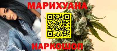 сатива Камышлов
