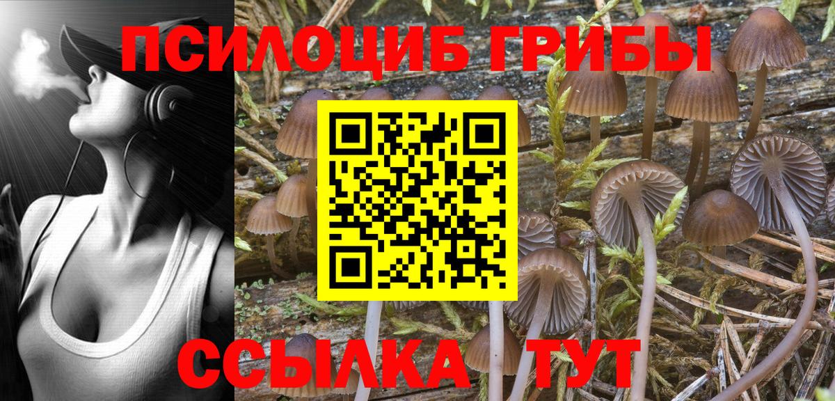 Галлюциногенные грибы MAGIC MUSHROOMS  Вход с VPN  Галлюциногенные грибы Psilocybine cubensis  Лесной 